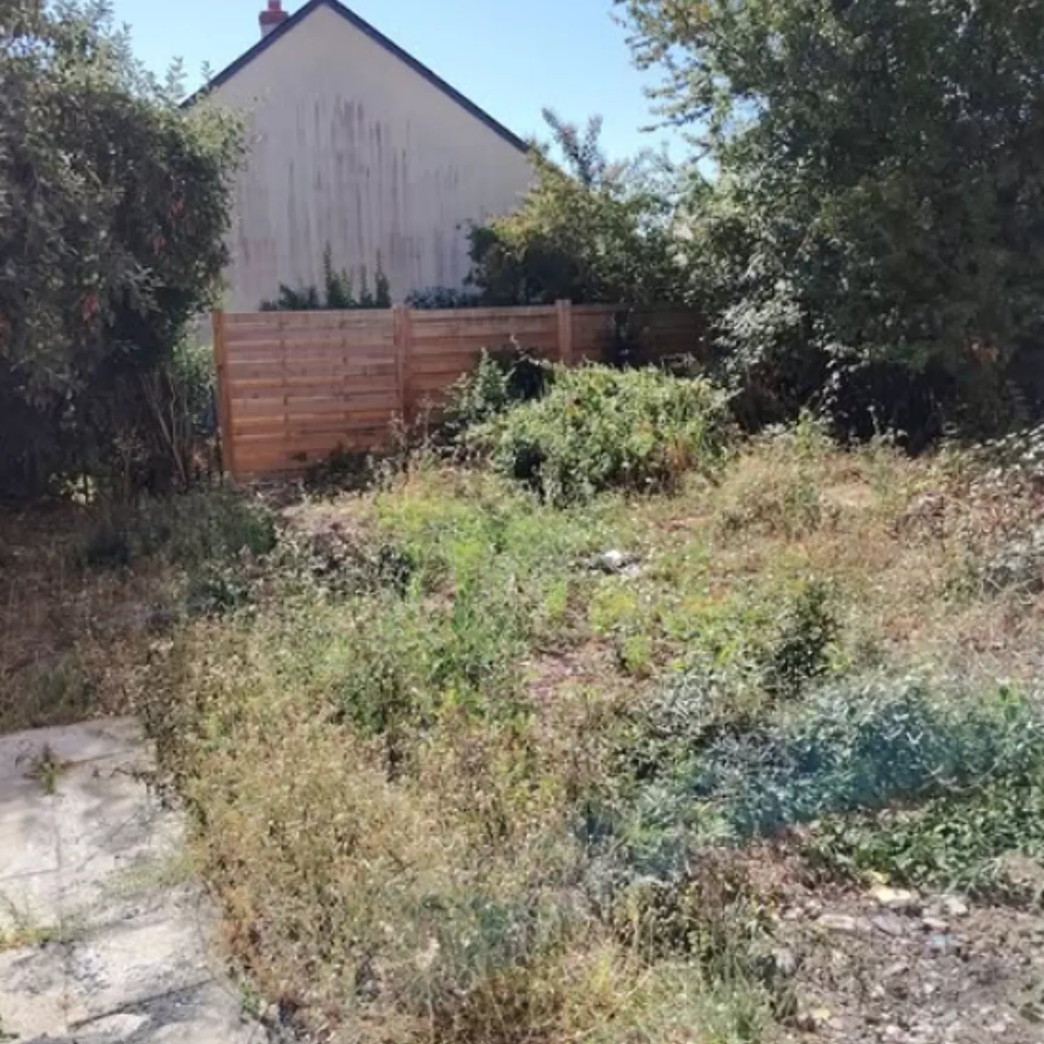 before-image