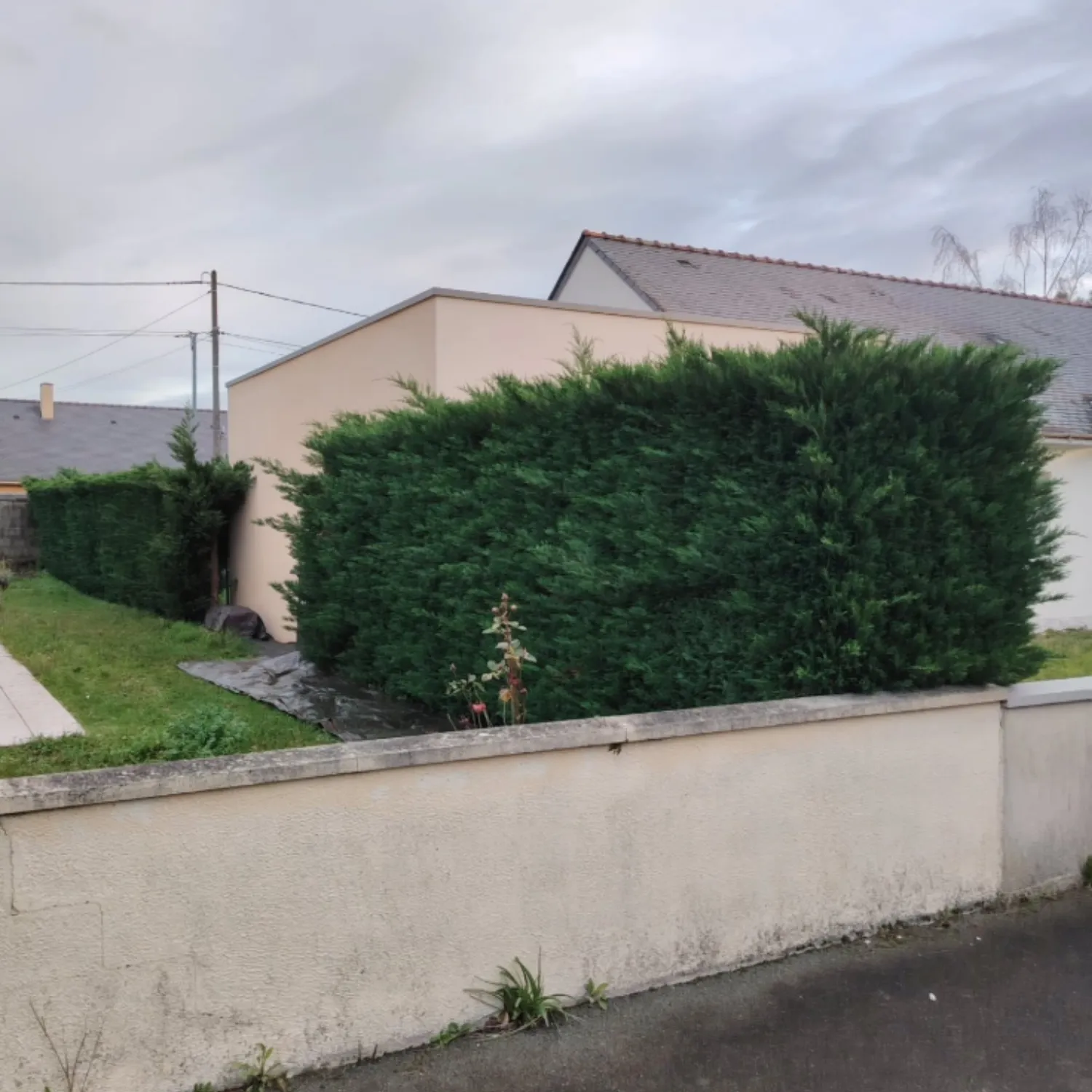 before-image