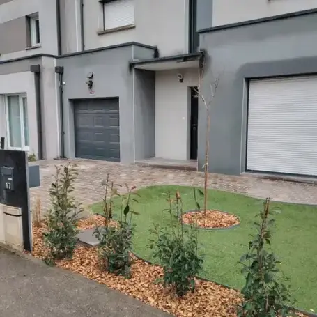 tailleur de haies à Juigné-sur-Loire - image 2